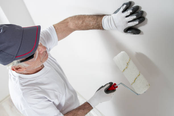 Best Drywall Sanding and Smoothing  in Peru, IL